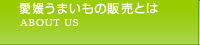 愛媛うまいもの販売とは